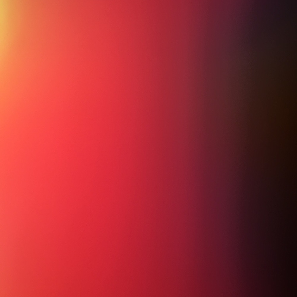 Meet your Posher, Susie